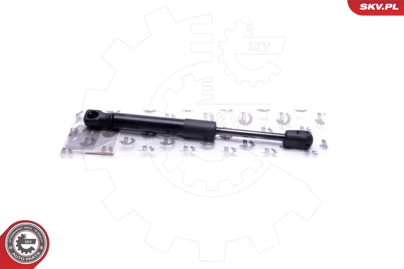 Gas Spring, boot/cargo area